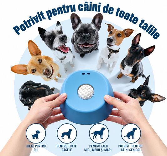 Bolul interactiv care susține sănătatea digestivă a câinelui tău